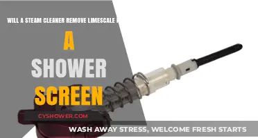 Steam Cleaner vs. Limescale: Effective Solution for Shower Screen Cleaning?