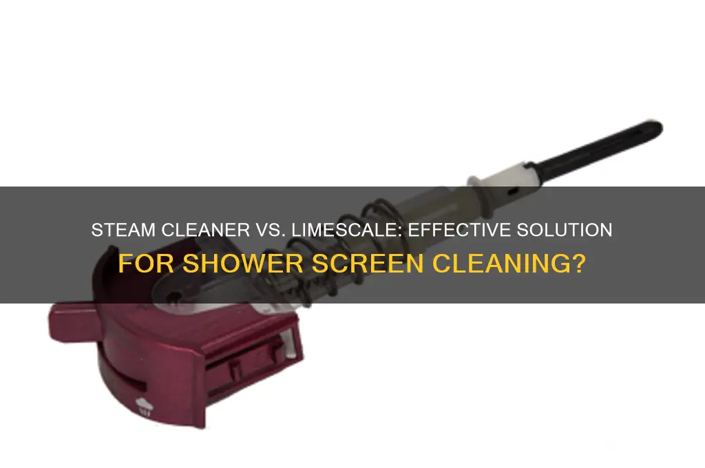 will a steam cleaner remove limescale from a shower screen