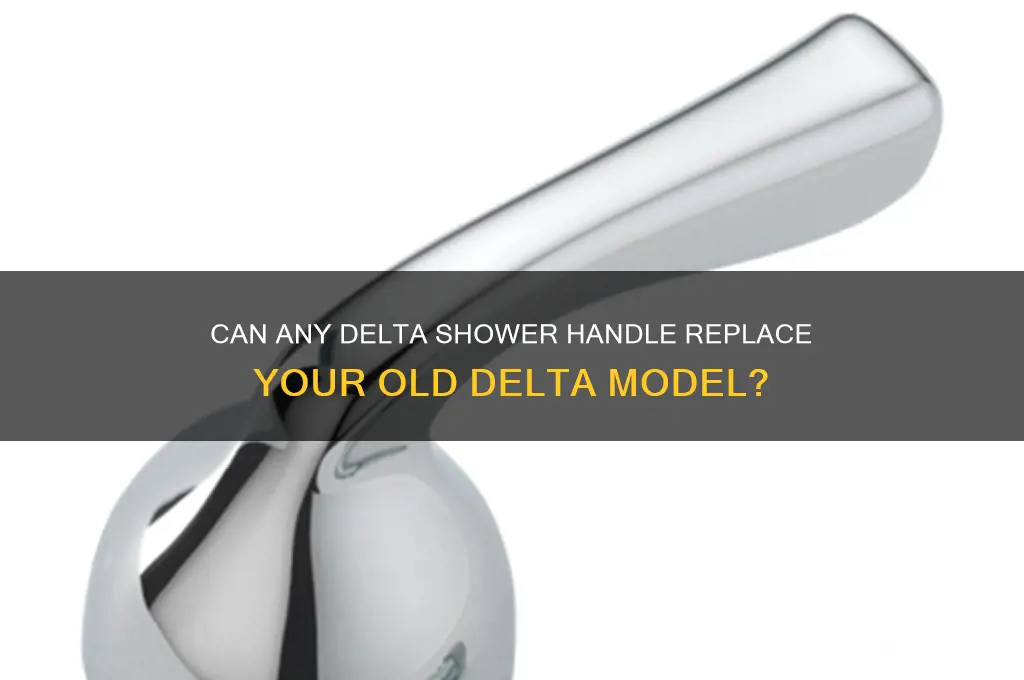 will any delta shower handle replace an old delta handle