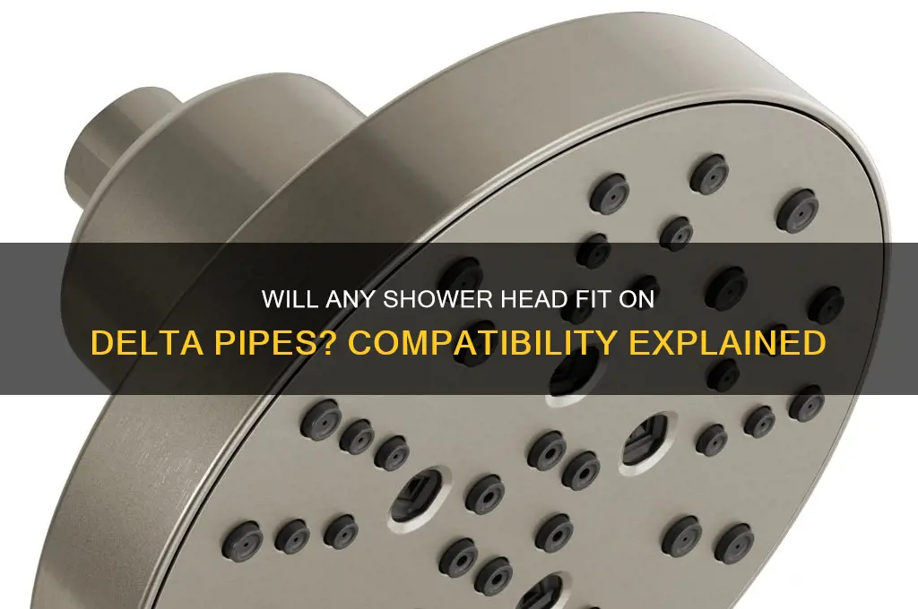 will any shower head fit on delta pipe