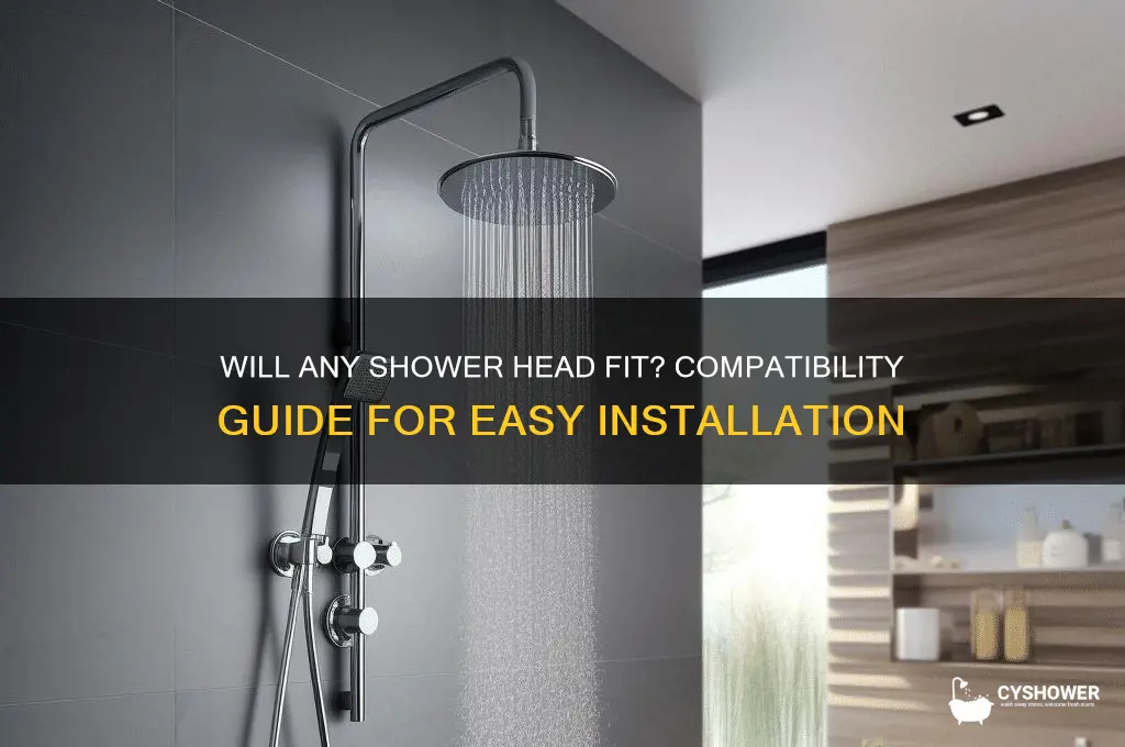 will any shower head fit