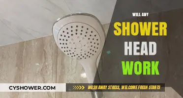 Will Any Shower Head Work? Compatibility and Installation Tips
