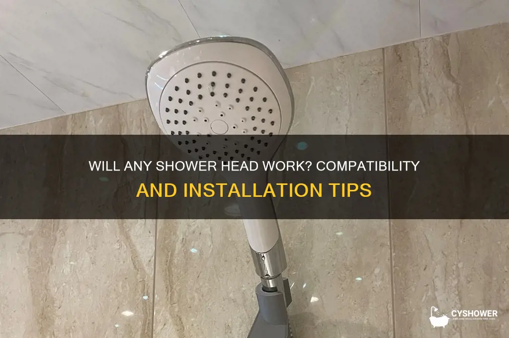 will any shower head work