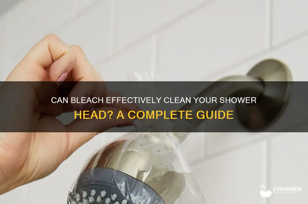 will bleach clean a shower head