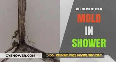 Does Bleach Effectively Remove Mold in Showers? A Complete Guide