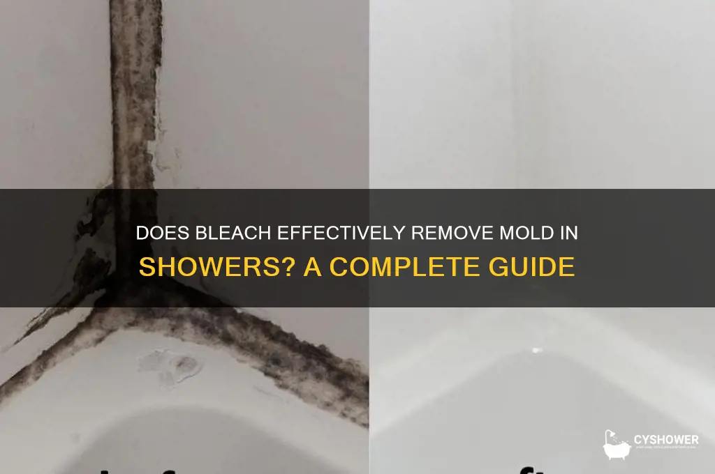will bleach get rid of mold in shower