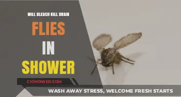 Does Bleach Effectively Eliminate Drain Flies in Your Shower?