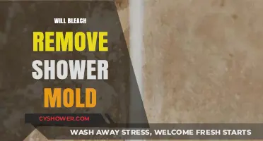Does Bleach Effectively Remove Shower Mold? A Comprehensive Cleaning Guide