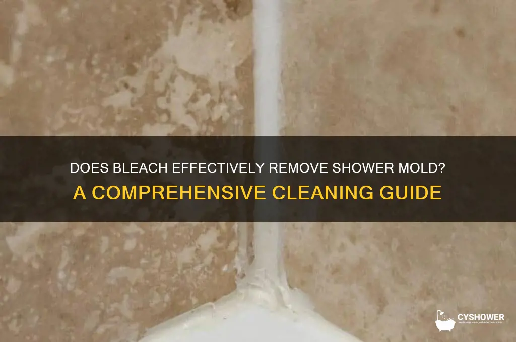 will bleach remove shower mold
