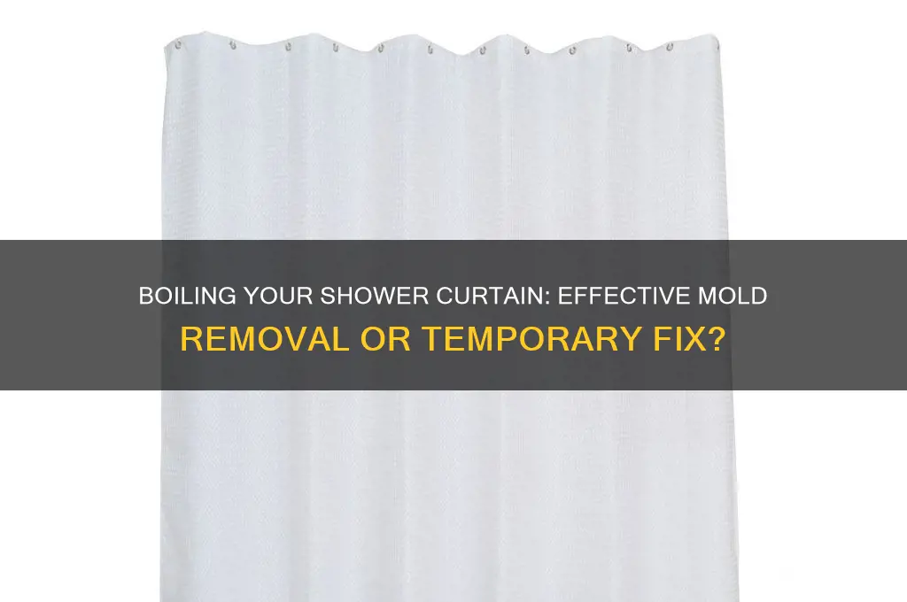 will boiling my shower curtain kill the mold on it