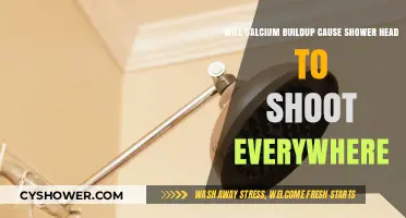 Calcium Buildup: Why Your Shower Head Shoots Water Everywhere