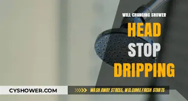 Can a New Shower Head Fix Your Persistent Dripping Problem?