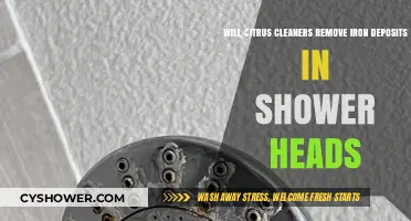 Citrus Cleaners vs. Iron Deposits: Effective Shower Head Cleaning?