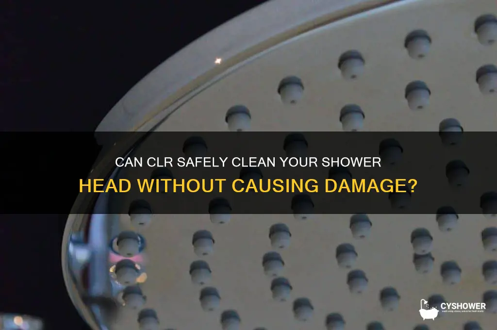 will clr damage shower head