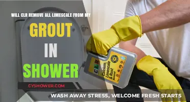 CLR's Power: Can It Eliminate Shower Grout Limescale Effectively?