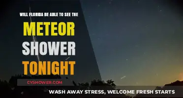 Florida's Night Sky: Meteor Shower Visibility Tonight?