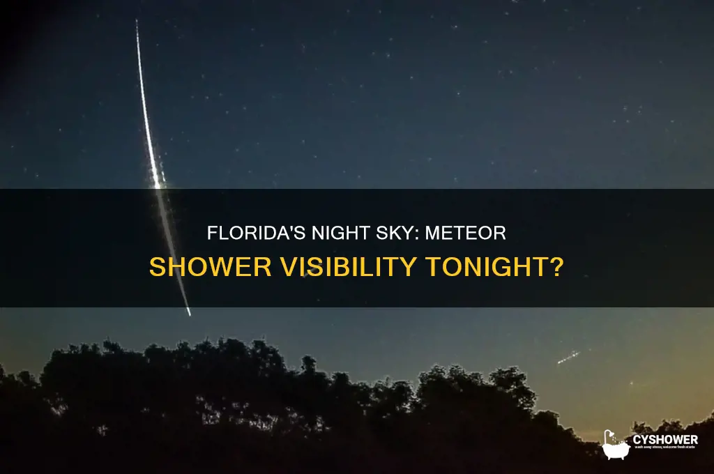 will florida be able to see the meteor shower tonight