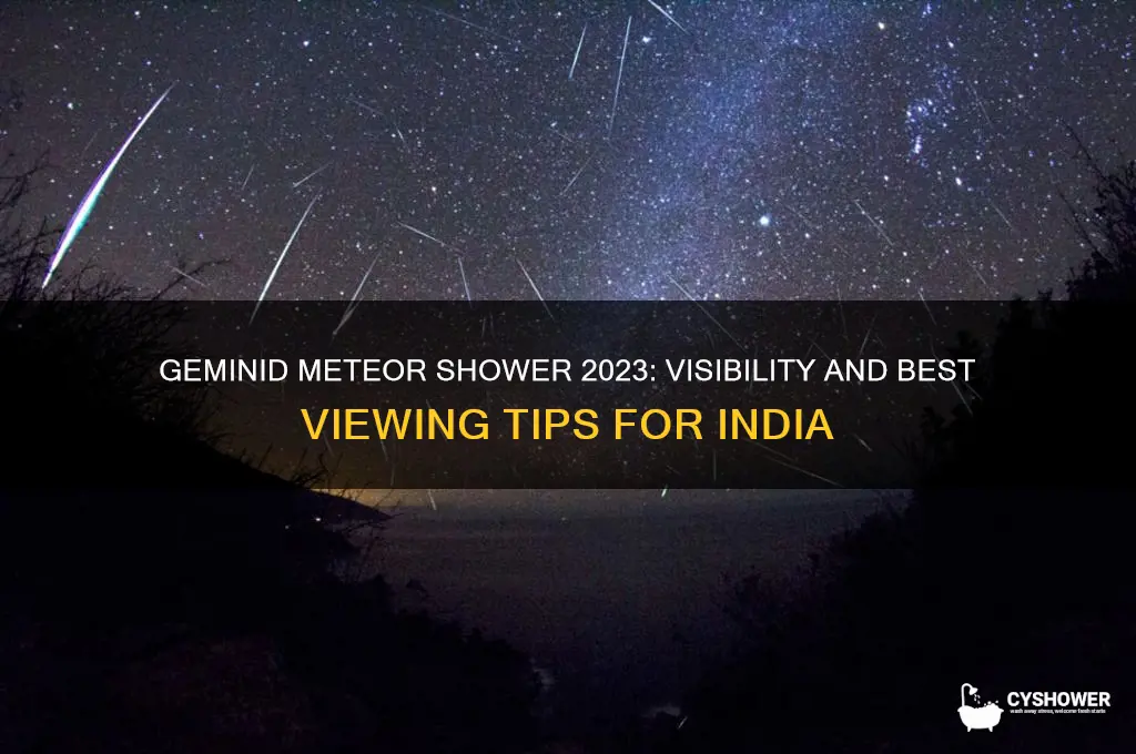 will geminid meteor shower be visible in india