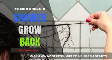 Will Shower Hair Loss Grow Back? Understanding Shedding and Regrowth