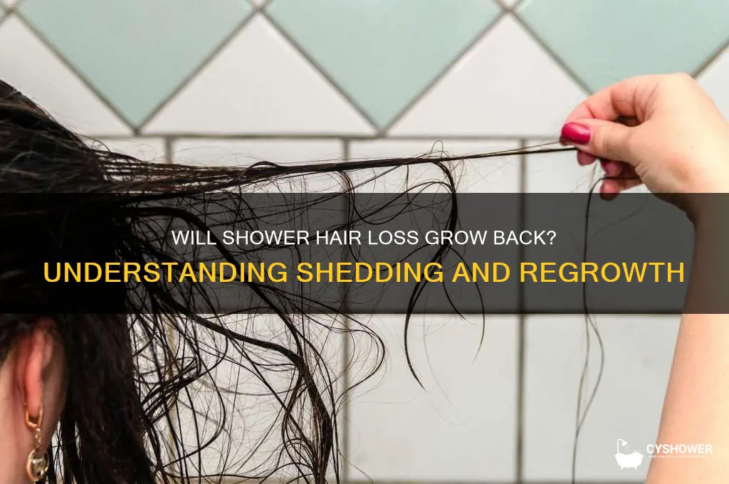 will hair that falls out in shower grow back