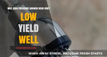 High-Pressure Shower Heads: Risks for Low-Yield Wells Explained