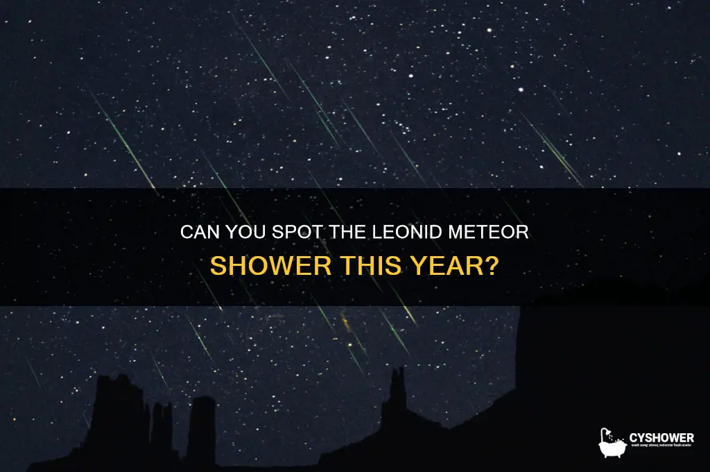 will i be able to see the leonid meteor shower