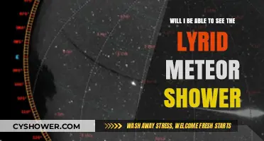 Lyrid Meteor Shower Visibility Guide: Will You Catch the Celestial Show?