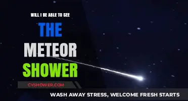 When and Where to Watch the Meteor Shower: Your Guide