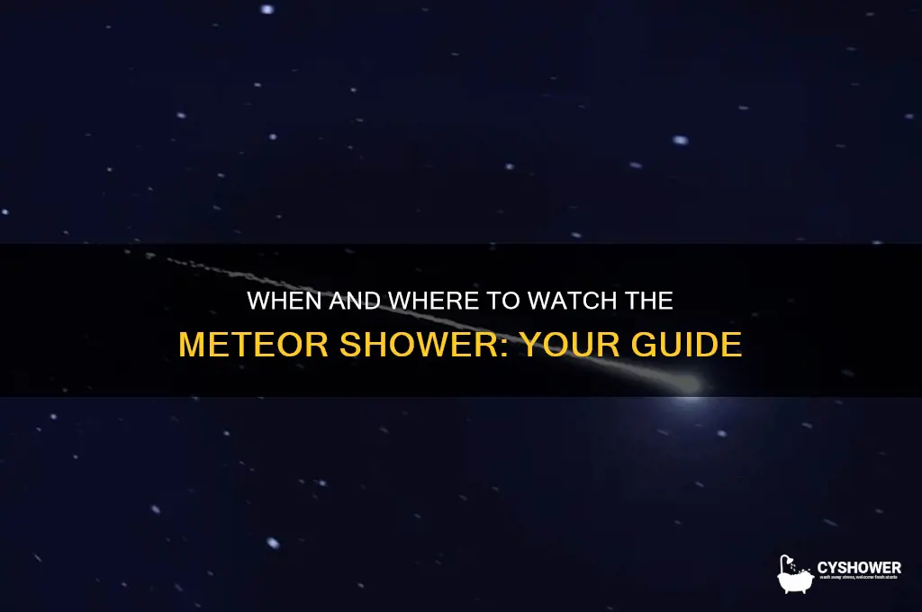 will i be able to see the meteor shower