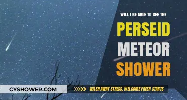 Can You Spot the Perseid Meteor Shower This Year?