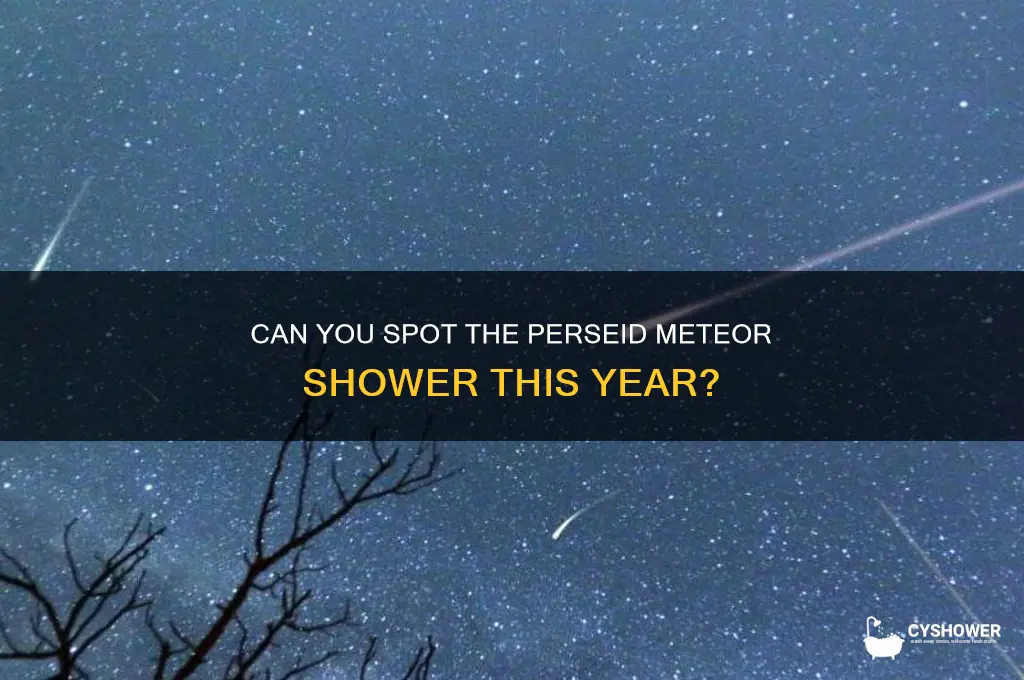 will i be able to see the perseid meteor shower
