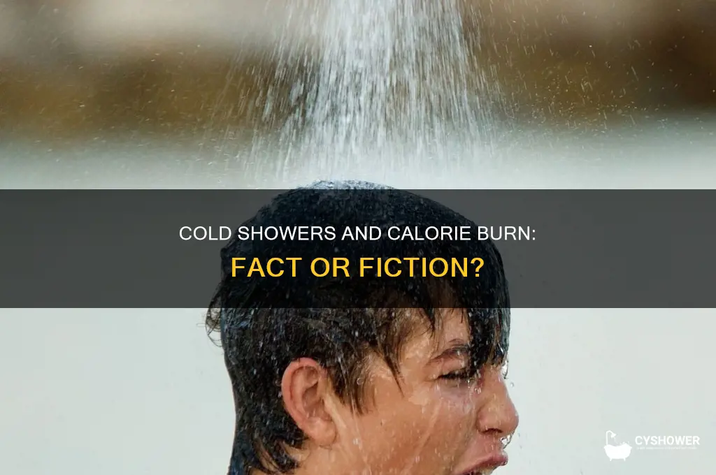will i burn calories if i take a cold shower