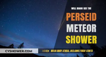 Idaho's Perseid Meteor Shower Visibility: What to Expect This Year