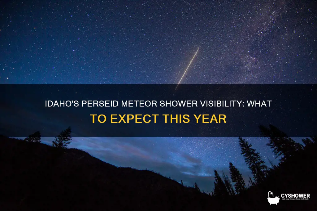 will idaho see the perseid meteor shower