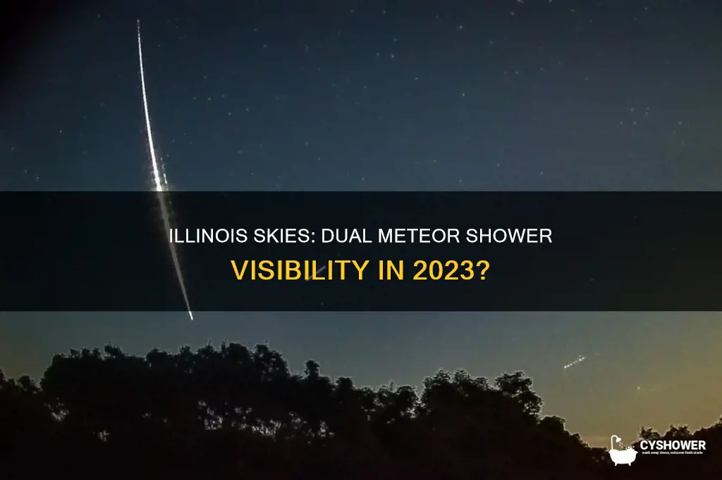 will illinois see the dualing meteor shower