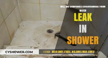Does Home Insurance Cover Shower Water Leak Damage?