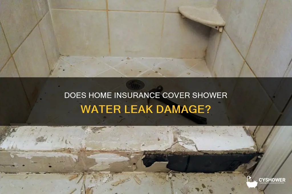 will ins companies covervdamage from water leak in shower