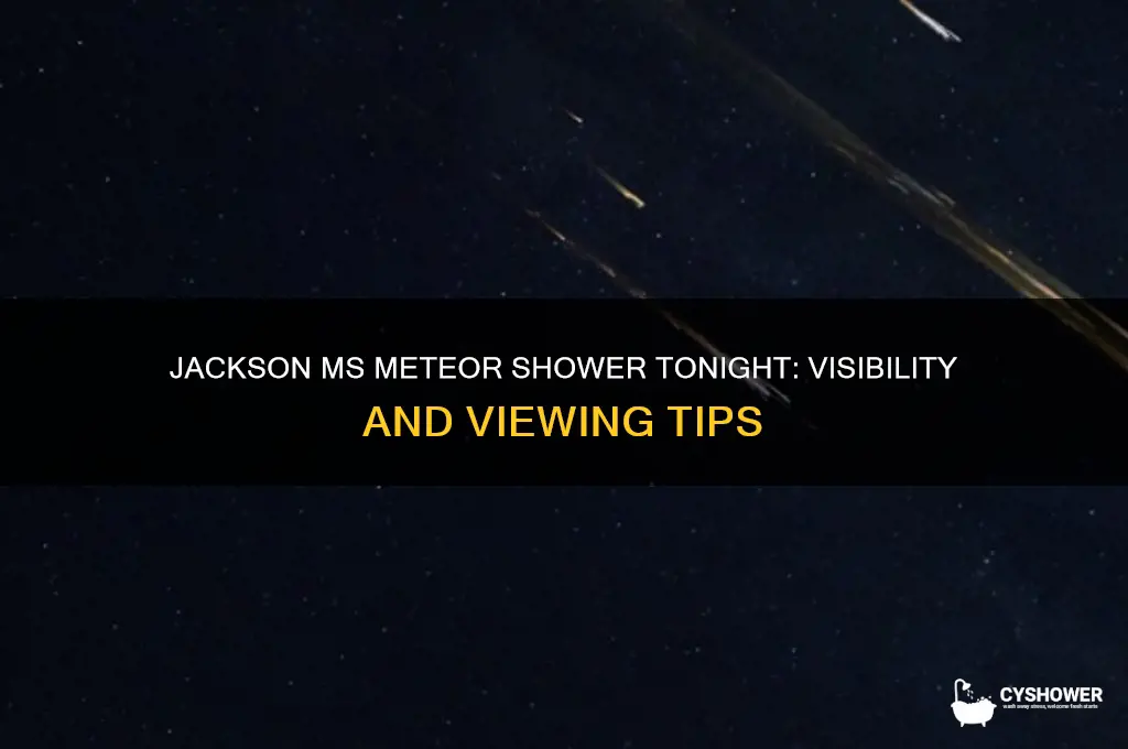 will jackson ms see the meteor shower tonight
