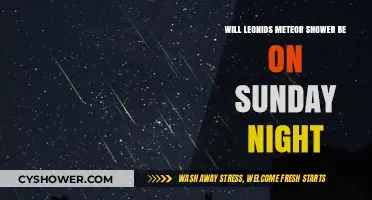 Leonids Meteor Shower: Sunday Night's Celestial Spectacle?
