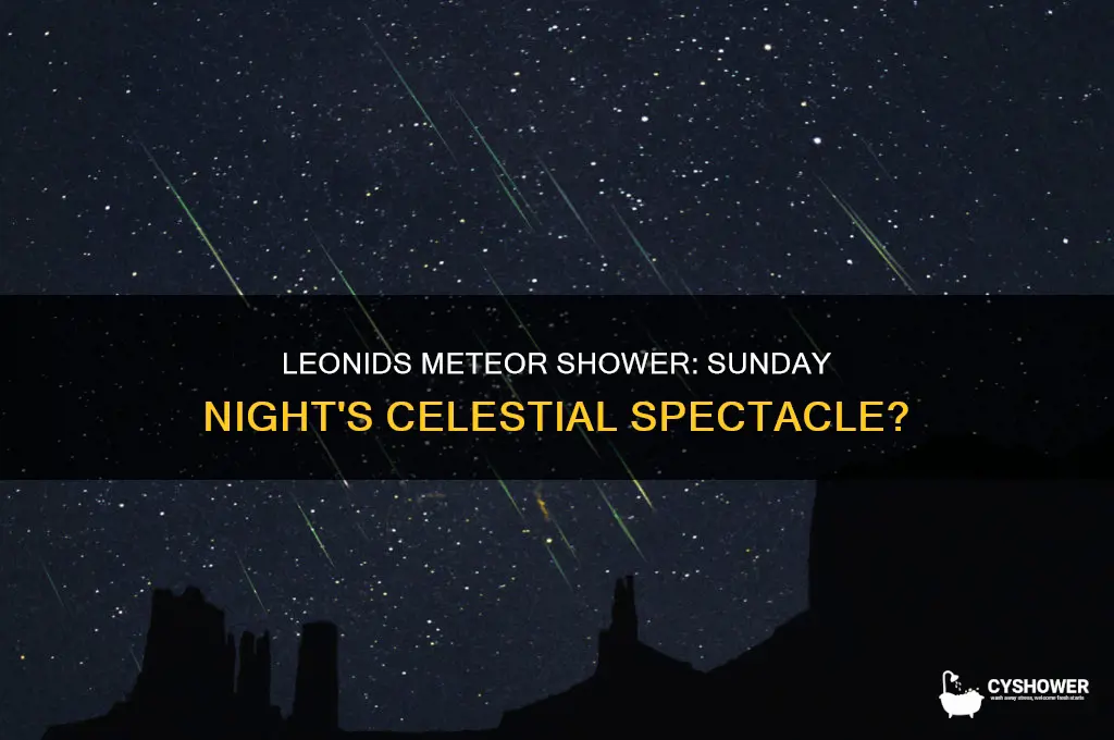 will leonids meteor shower be on sunday night