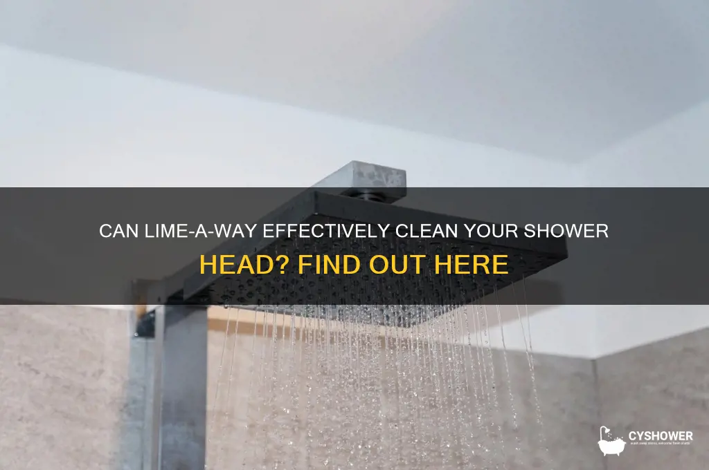 will limeaway clean shower head