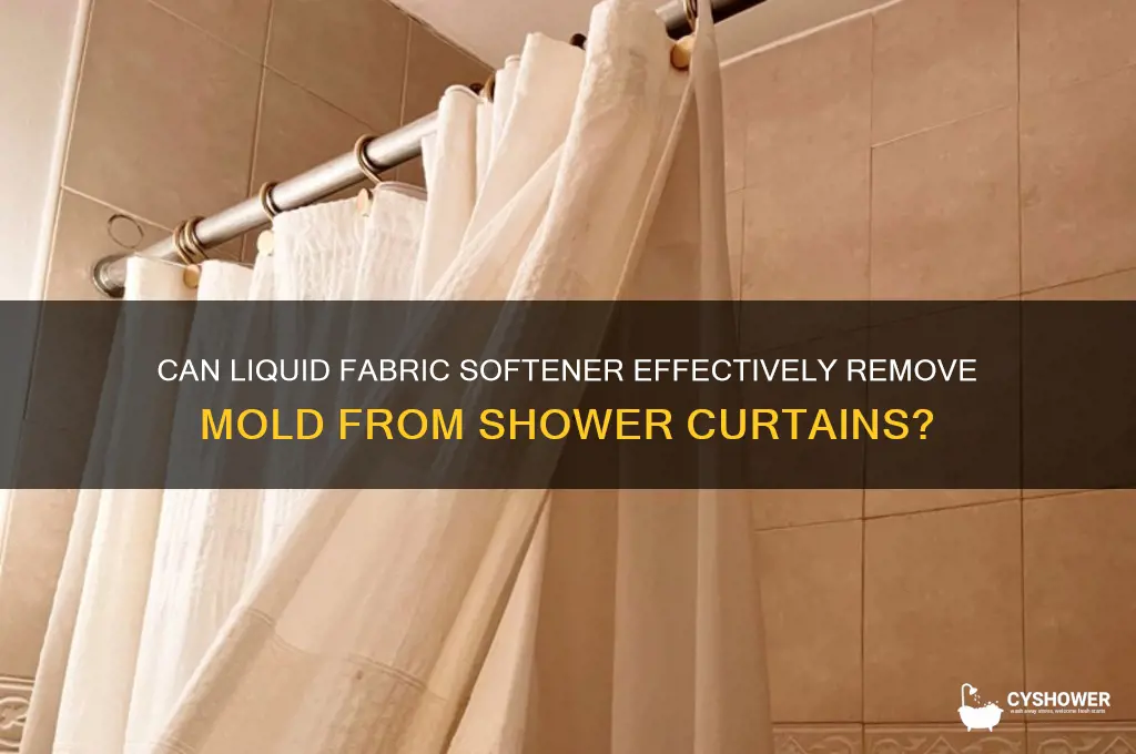 will liquid fabric softener remove mold from shower curtain