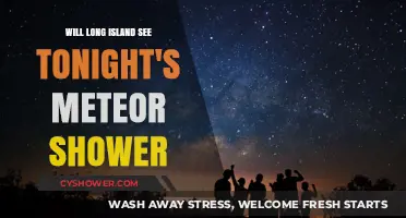 Long Island's Night Sky: Will Tonight's Meteor Shower Be Visible?