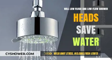 Low Flush and Low Flow Shower Heads: Effective Water-Saving Solutions?