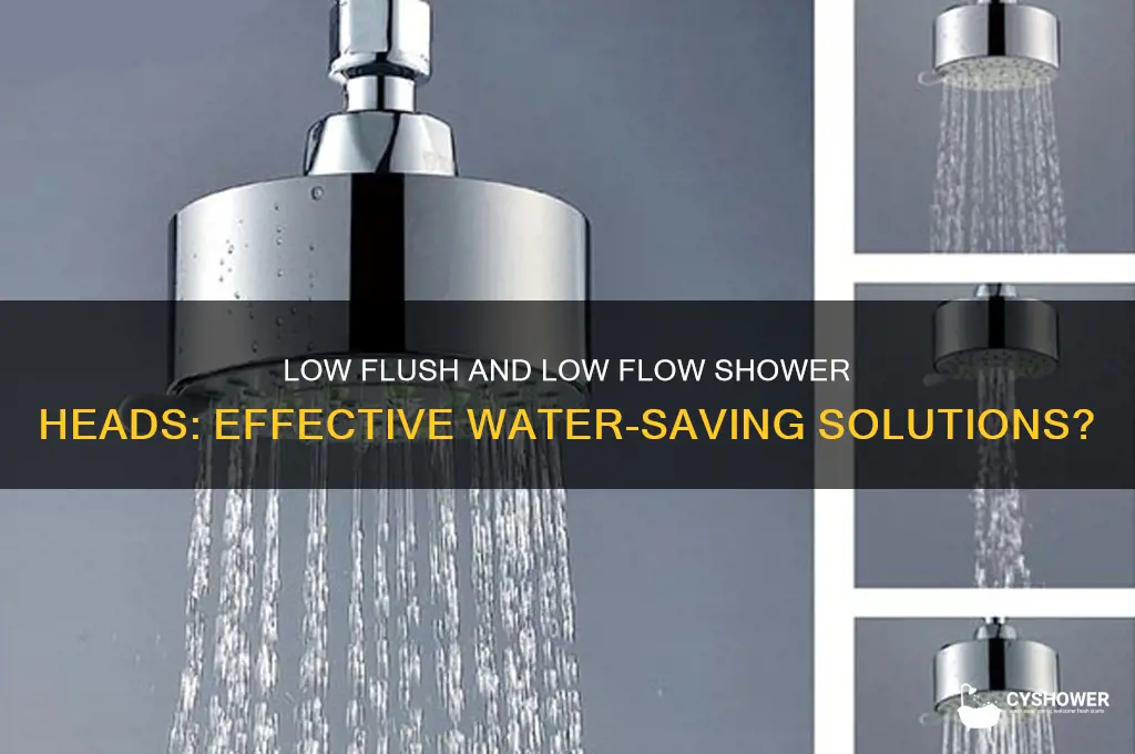will low flush and low flow shower heads save water