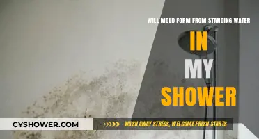Preventing Mold Growth: Standing Water in Your Shower Explained