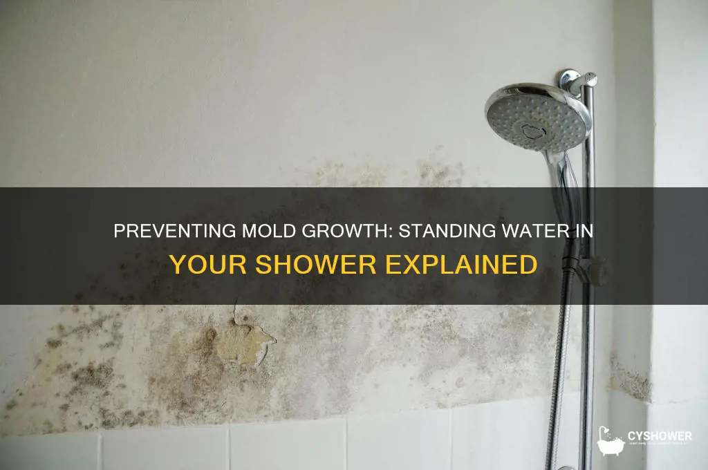 will mold form from standing water in my shower