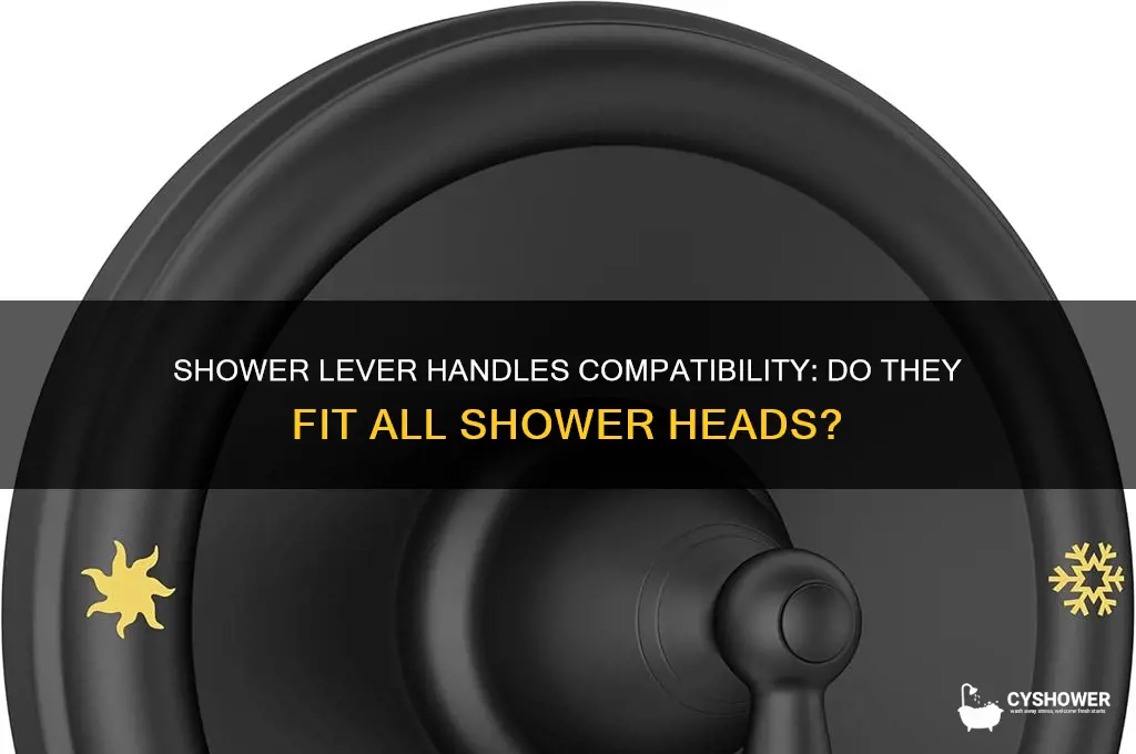 will most shower lever handles work with any shower heads