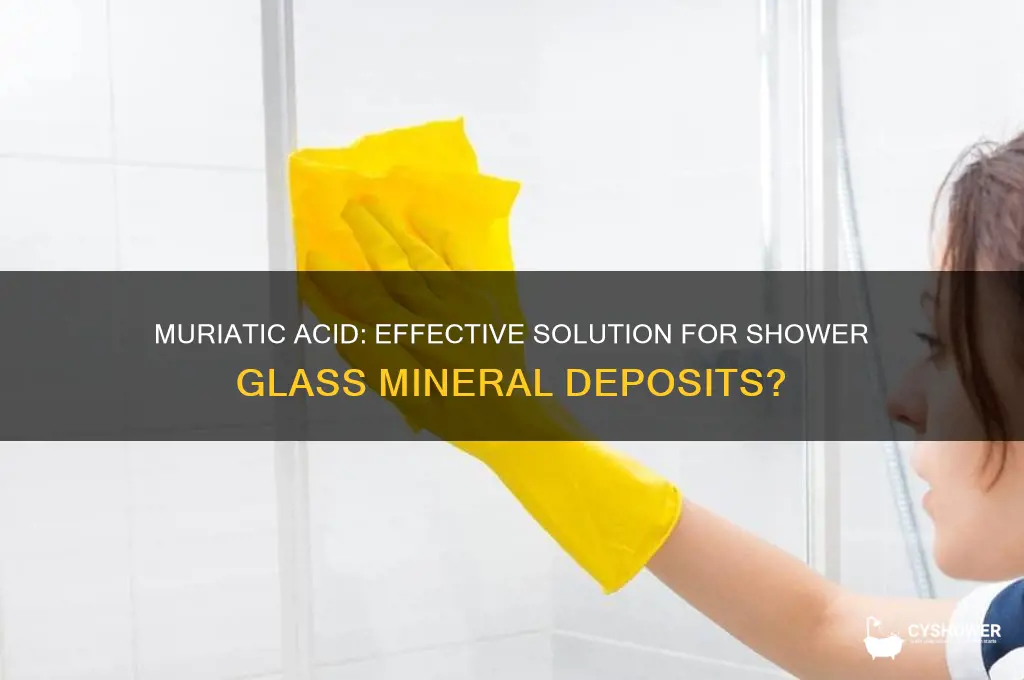 will muriatic acid remove mineral deposits from shower glass