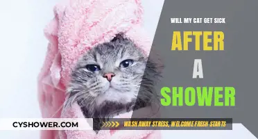 Can Cats Get Sick After a Shower? What Owners Need to Know